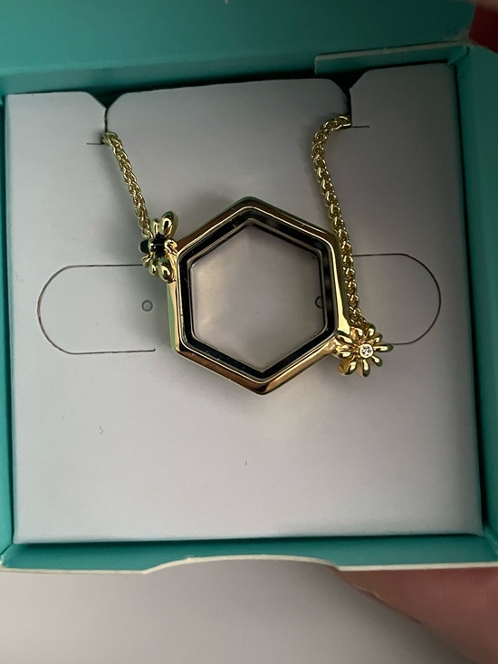 Jewelry - Origami Owl x Winnie the Pooh Gold Honeycomb Bolo Bracelet Locket